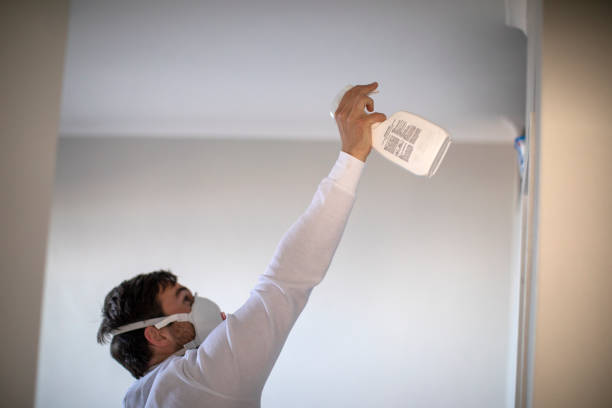 Best Toxic Mold Removal  in Monroeville, OH